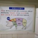 박가뒷통구이