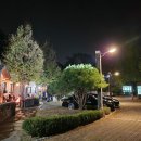 오커빌리지 네이버블로그