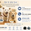 마이티헤어 | 반려견 목욕 후 털 말리기 전쟁, 이제 끝 — 펫밀리아 펫드라이룸이 필요한 이유