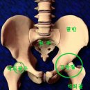 다리 길이가 같다면 건강하다 /난병극복의 운동법 이소가이요법 이미지