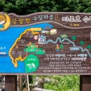 간척1리 이미지