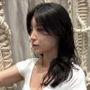 더모던화이불치