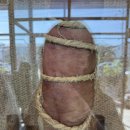 돈어길 | 제주흑돼지 서귀포맛집 돈어길 제주신화월드점 재방문후기