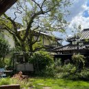 호수속의동화풍경 | 유후인 카페 카라반커피 후기: 긴린코 호수 근처 동화 같은 핸드드립 카페