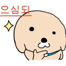 티트리 호텔 이미지