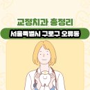 오류 메디인 에스 | 서울특별시 구로구 오류동 교정치과 총정리