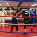 에너자이저 복싱 | MMA에도 통하는 복싱 베이스 강남역 에너자이저에서 잡기