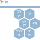 P-6925 | 고양이 밥 안먹는 이유, 토하는 원인 (췌장염, 황달, 복수, 지방간증) + 서울 아이윌 24시 동물병원