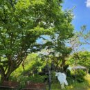 서강어린이집 이미지