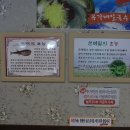 유가네칼국수 이미지