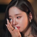 프리지아 스튜디오