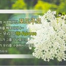 멜기세덱의 예언을 이루신 하나님의교회 재림 그리스도 안상홍님 이미지