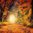 태평양공인중개사무소 이미지