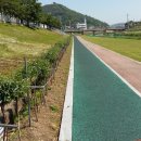 청양군백세공원 이미지