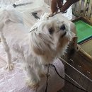 모츠