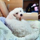 경기도 송탄보건소 이미지