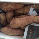 거성농장 이미지