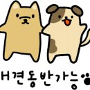 사가록캠핑장 이미지