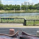 땡큐댕댕 이미지