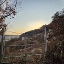 지우농원 이미지