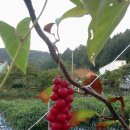 서윤농장 이미지