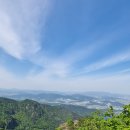 늑대와 여우 이미지