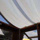 코코트리 이미지