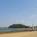돈치킨왜목마을점
