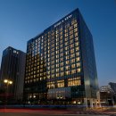 스테이라네 이미지