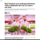 중인농장 이미지