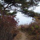 아주(아) 이미지