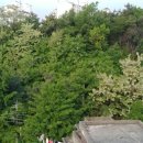 무주상지 이미지