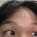 버버리호프 이미지