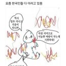 다올생고기