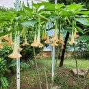 학동초등학교 이미지