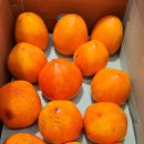 하동공설운동장+하동체육관 | [함안 한달 살아보기 17] 연꽃테마파크 왕복길에서 발견한 함안의 매력과 깊어가는 가을 풍경