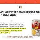 카피나라 이미지