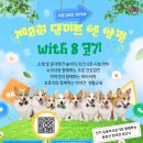 8코기네