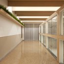 우쭈쭈 강아지 이미지