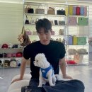 지즈루이스 이미지