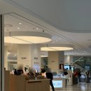 (주)현대에스티앤피 | 더현대퍼스널컬러 | 틴트트레이 퍼컬진단 가격, 후기