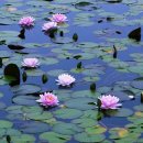 공원마을2길39 이미지