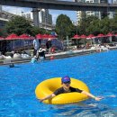 김정문알로에 광진지사 | 2025 한강 수영장 <뚝섬 수영장> 후기, 준비물 필수템