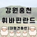 홍천 휘바핀란드 다녀온 후기｜양떼와 대형견이 함께한 하루