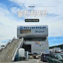 (주)만석유통 | 울진 회 포장 어디서 하지? 죽변수협 수산물직판장 방문 후기