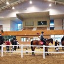 영천시운주산승마조련센터 이미지