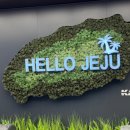 모앙MOANG | 눈발이 가득한 겨울 제주 여행기(종달리 코스 추천)