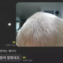 동물은내친구 이미지