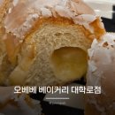 사각소금빵 | 혜화역 대학로 소금빵 맛집 오베베 베이커리 메론소금빵 글레이즈 소금빵 내돈내산 포장 솔직후기