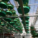 코리아팜(주) 이미지